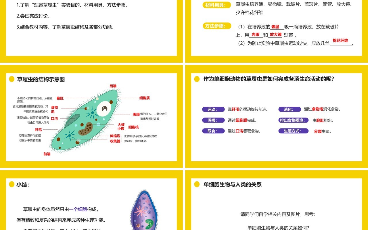 部编版七年级生物上册单细胞生物课件PPT模板