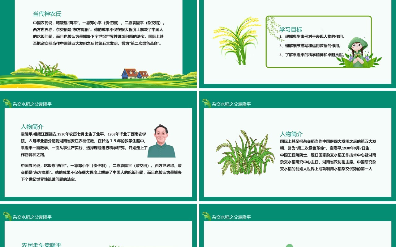 中国工程院院士杂交水稻之父袁隆平动态PPT模板