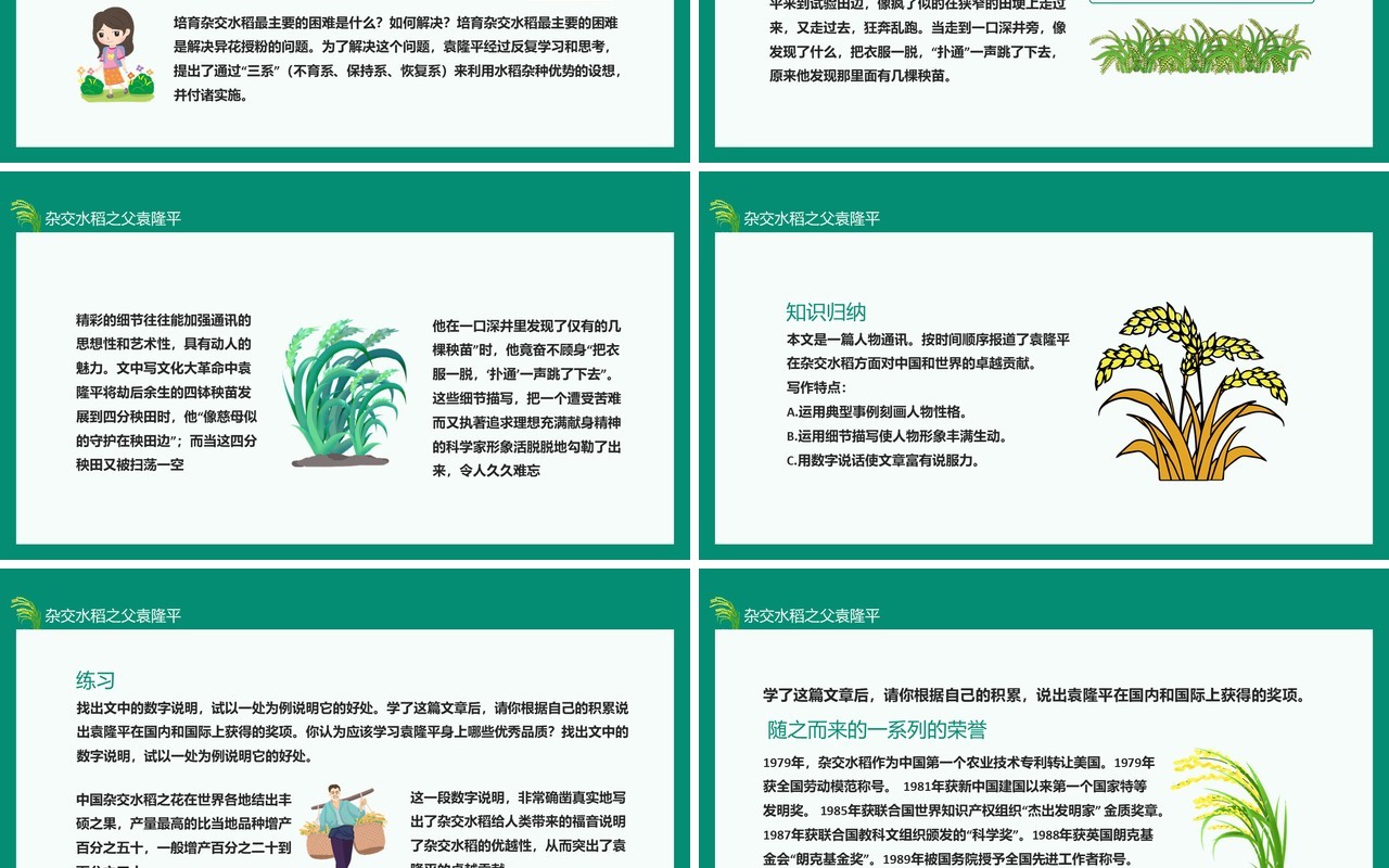 中国工程院院士杂交水稻之父袁隆平动态PPT模板