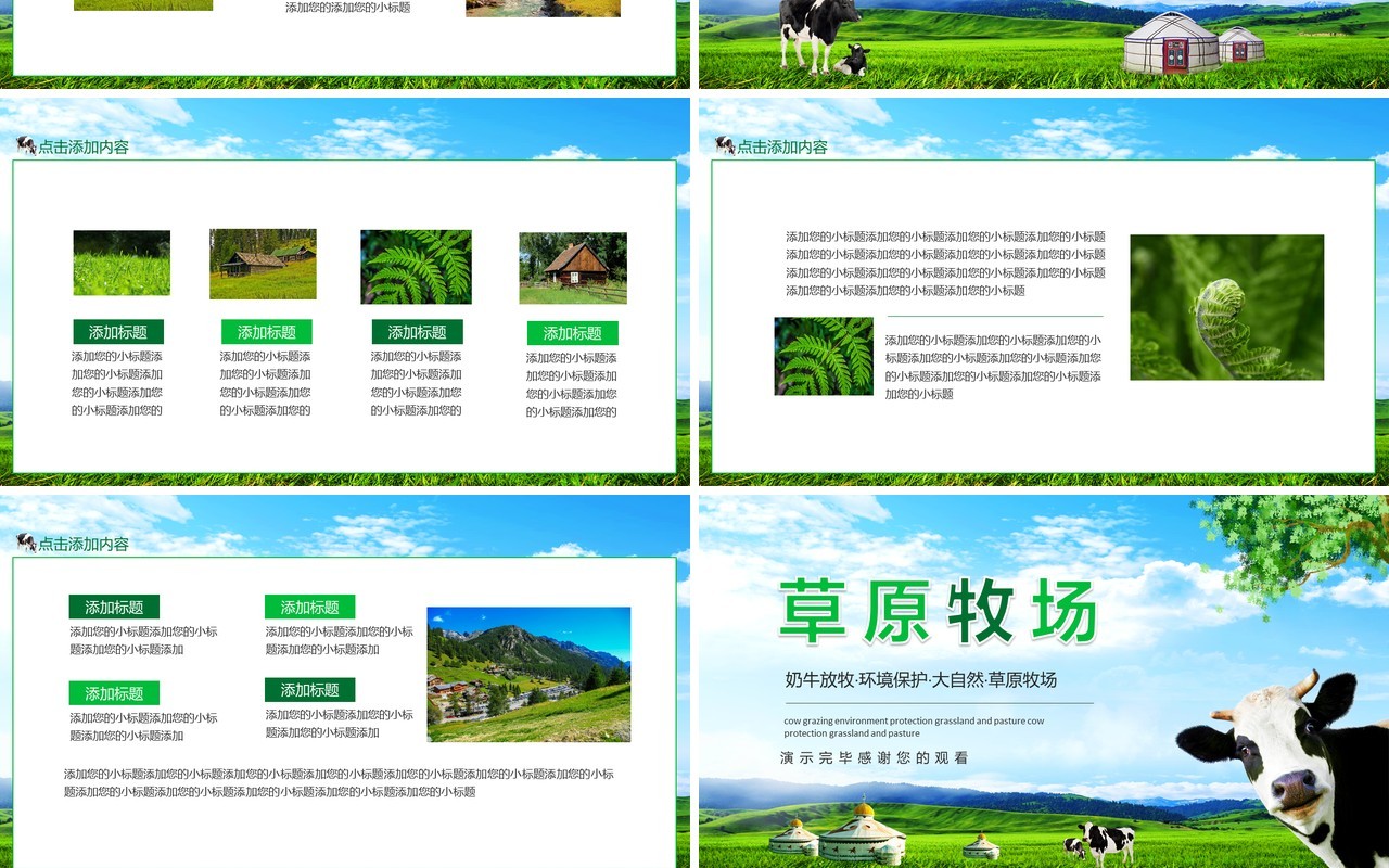 奶牛放牧环境保护大自然草原牧场动态PPT模板