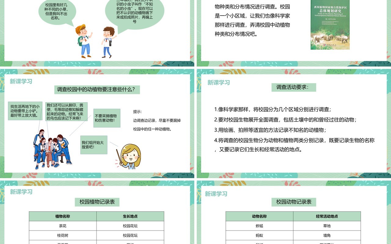 教科版六年级科学上册校园生物大搜索PPT模板