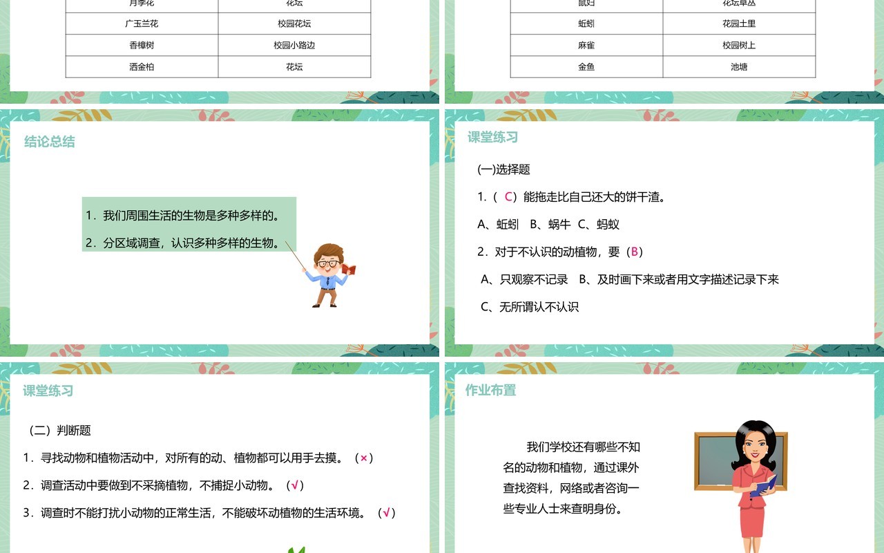 教科版六年级科学上册校园生物大搜索PPT模板