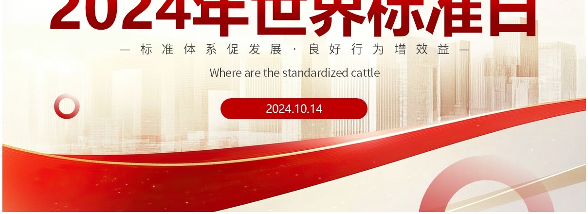 红金简约风2024世界标准日PPT模板