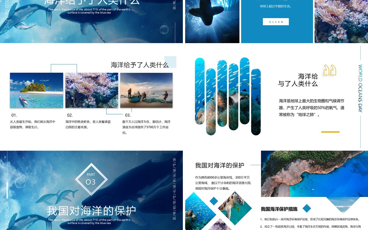 蓝色简约风世界海洋日介绍PPT模板