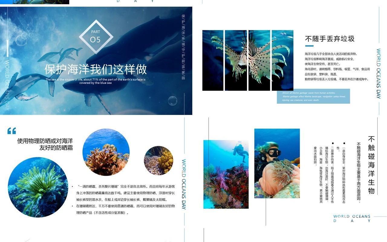 蓝色简约风世界海洋日介绍PPT模板
