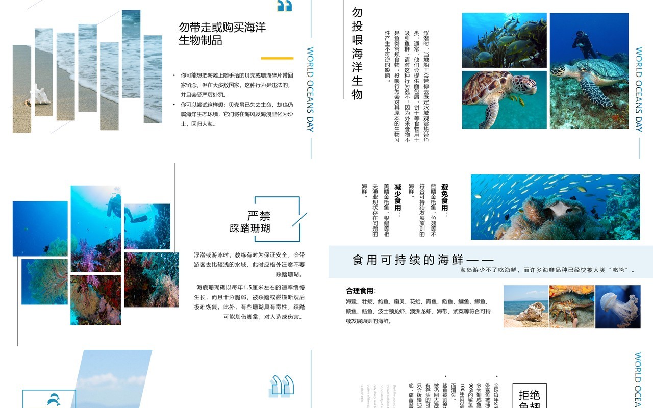 蓝色简约风世界海洋日介绍PPT模板