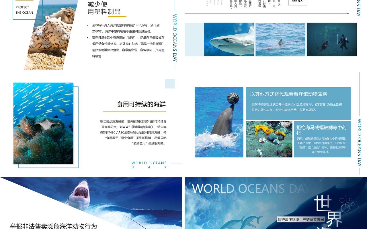 蓝色简约风世界海洋日介绍PPT模板