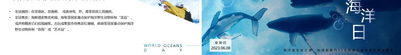 蓝色简约风世界海洋日介绍PPT模板