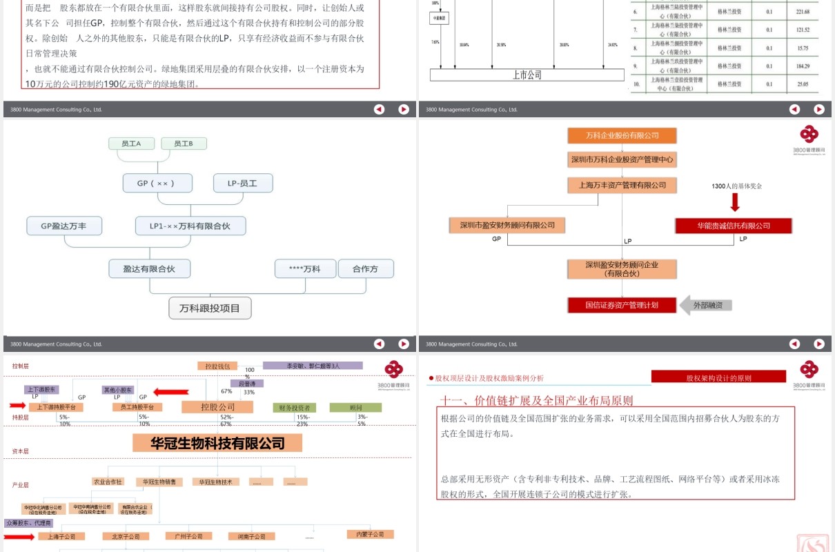 公司股权设计股权激励案例分析PPT模板