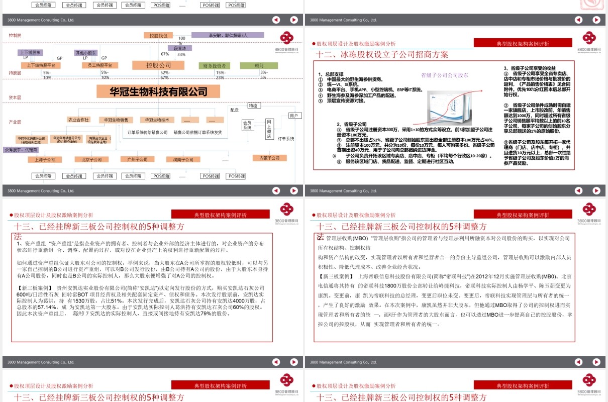 公司股权设计股权激励案例分析PPT模板