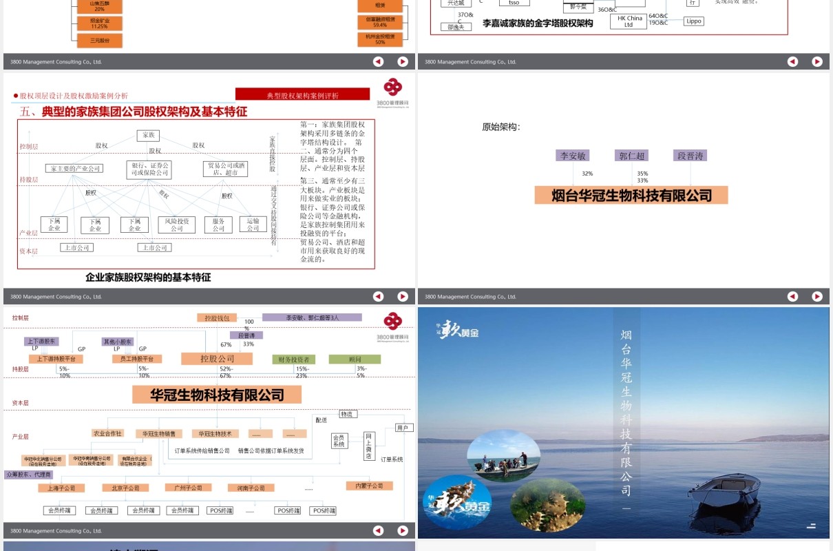 公司股权设计股权激励案例分析PPT模板