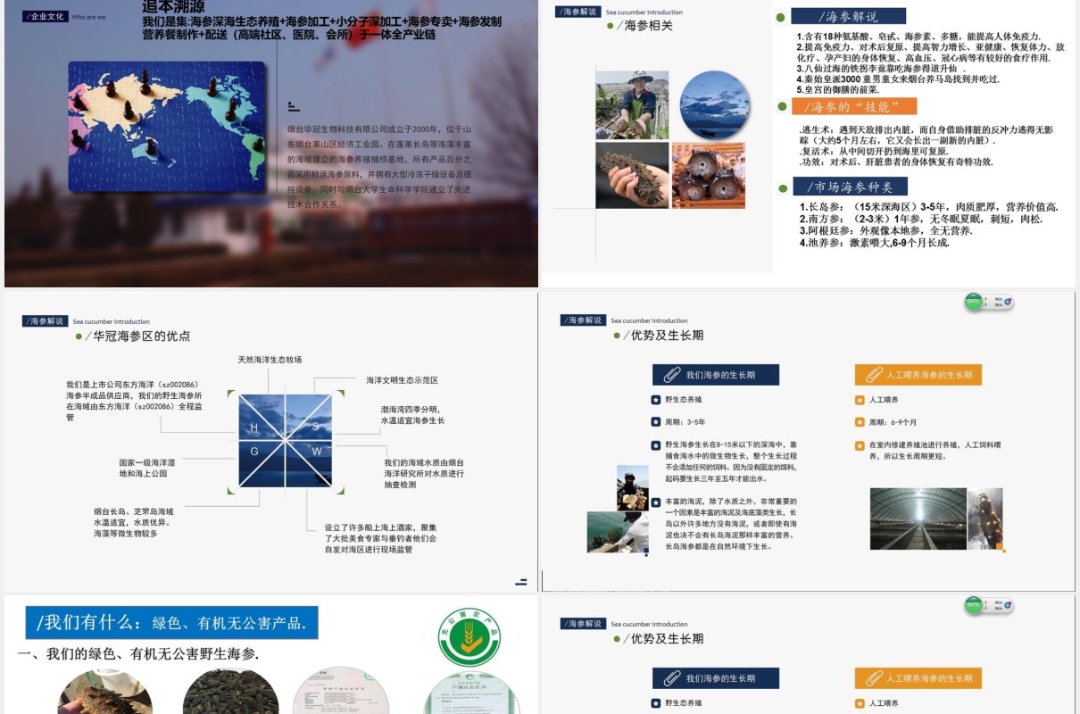 公司股权设计股权激励案例分析PPT模板