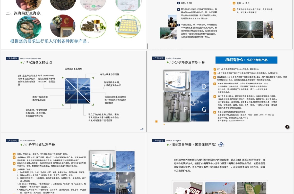 公司股权设计股权激励案例分析PPT模板