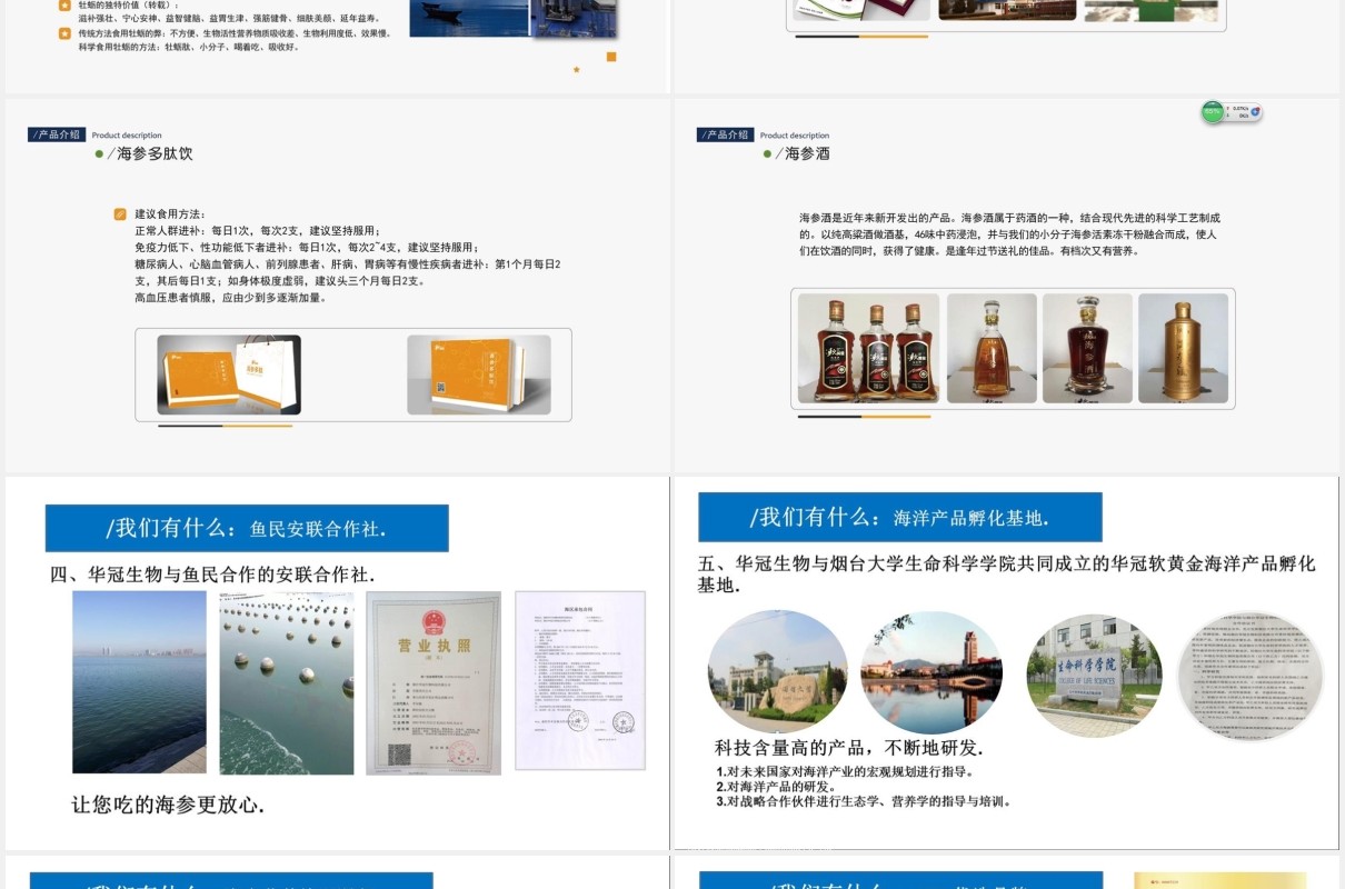 公司股权设计股权激励案例分析PPT模板