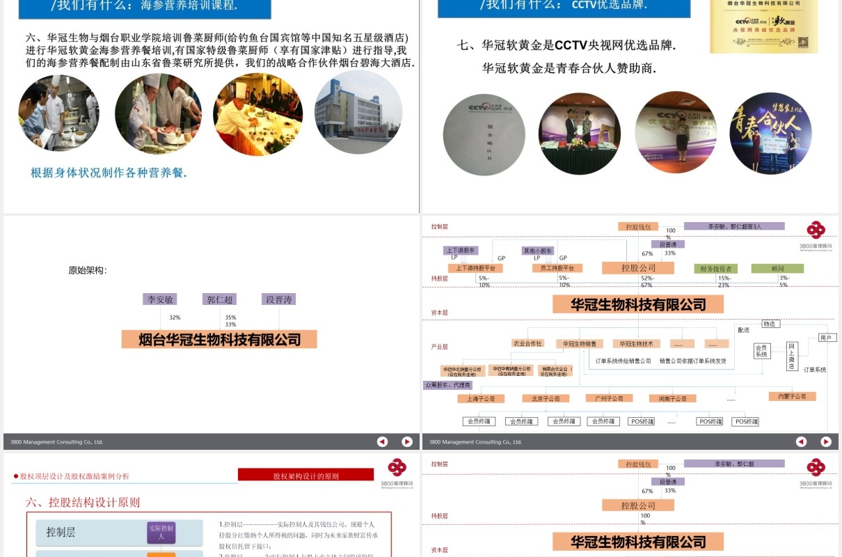 公司股权设计股权激励案例分析PPT模板