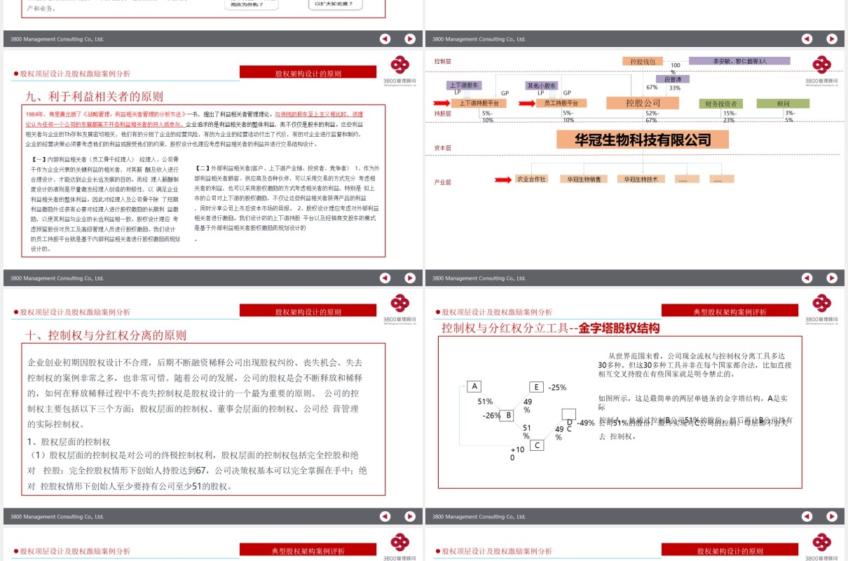 公司股权设计股权激励案例分析PPT模板