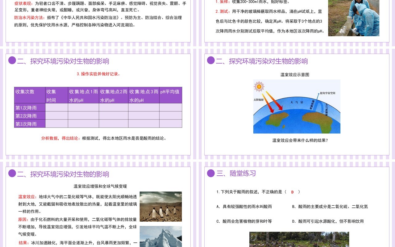 部编版七年级生物下册第七单元人类活动对生物圈的影响探究环境污染对生物影响课件PPT模板