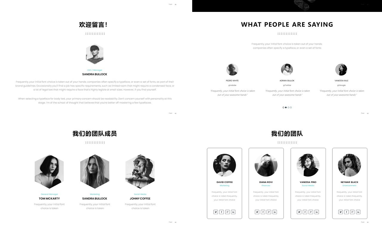 高端商业融资项目计划书企业策划PPT模板