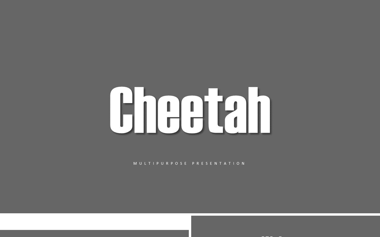Cheetah Presentation (image not include)