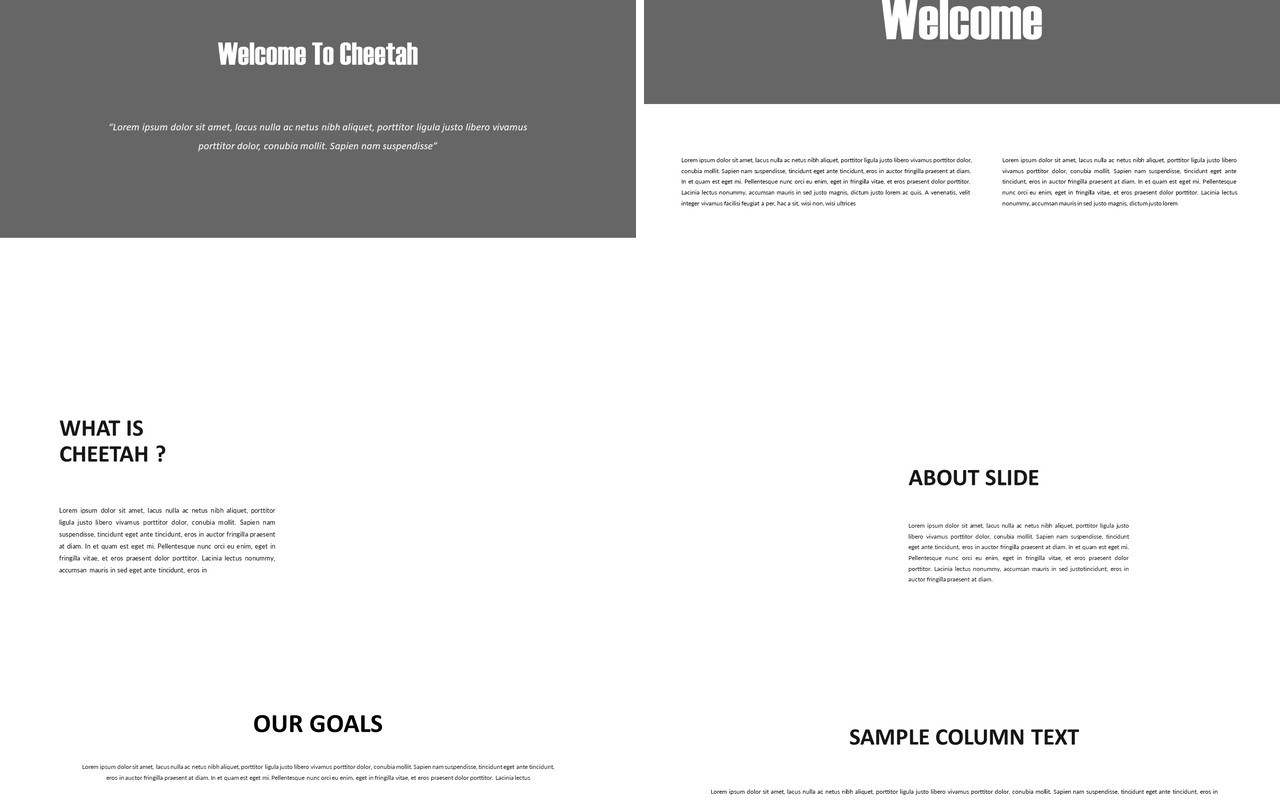 Cheetah Presentation (image not include)