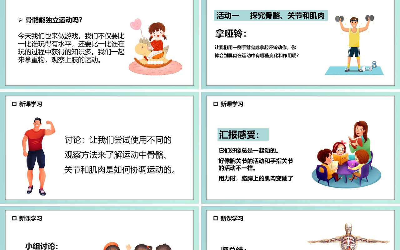 教科版四年级科学上册骨骼关节和肌肉课件PPT模板