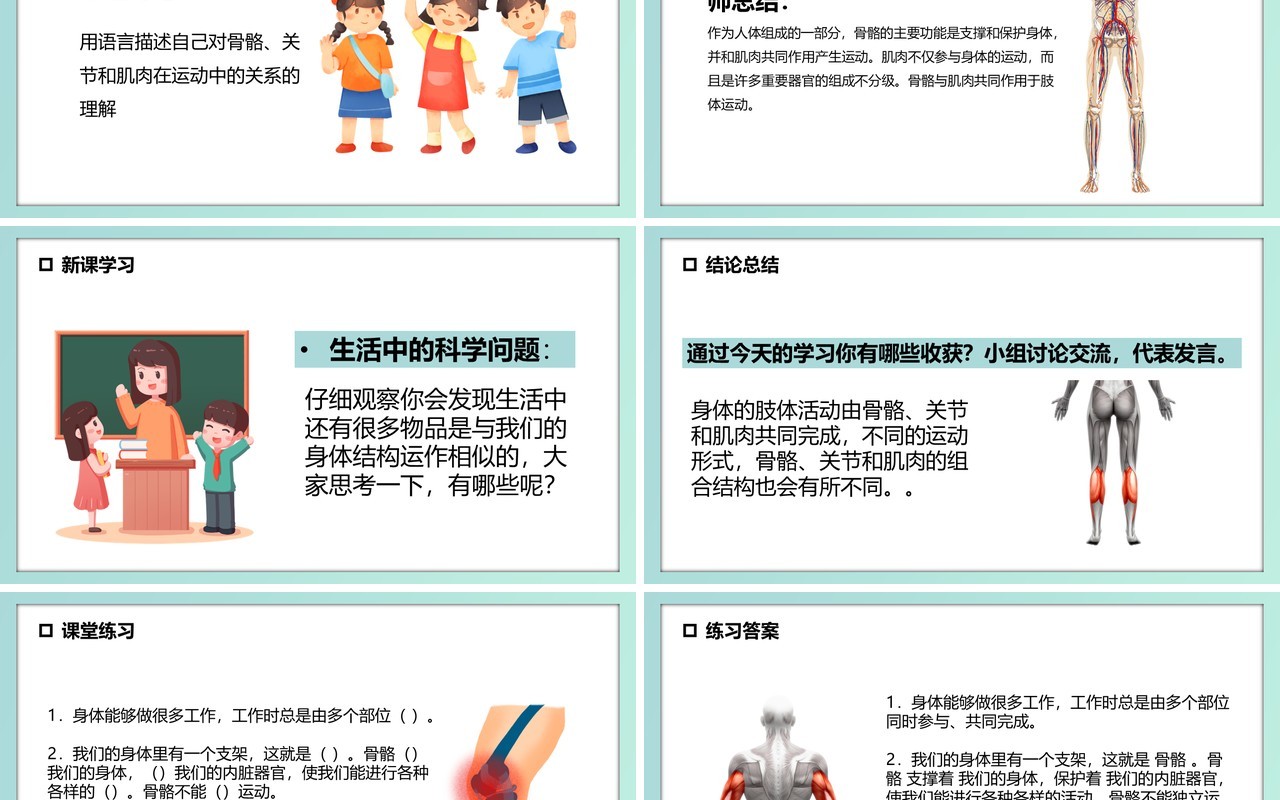 教科版四年级科学上册骨骼关节和肌肉课件PPT模板