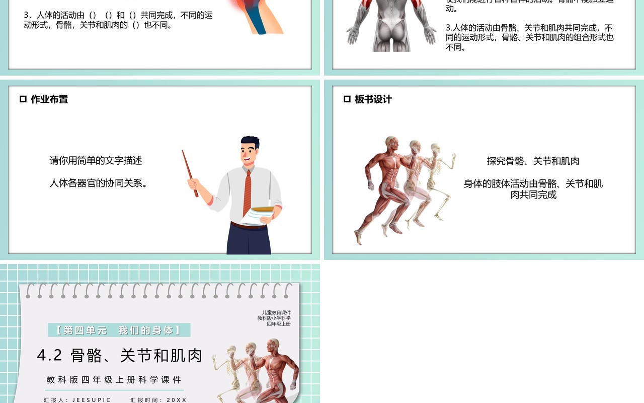 教科版四年级科学上册骨骼关节和肌肉课件PPT模板