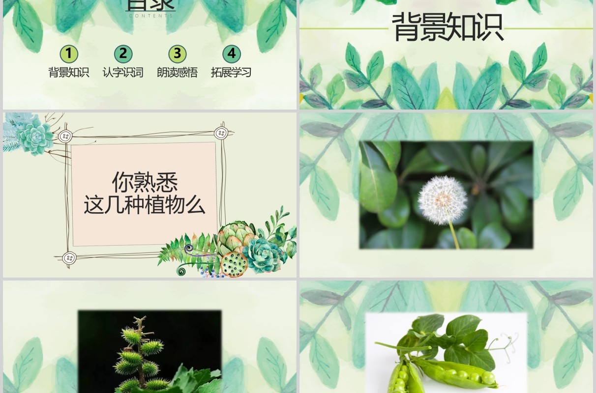绿色小学二年级语文课件植物妈妈有办法PPT教师说课模板