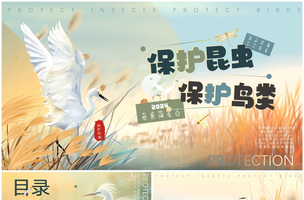 蓝色插画风世界候鸟日介绍PPT模板