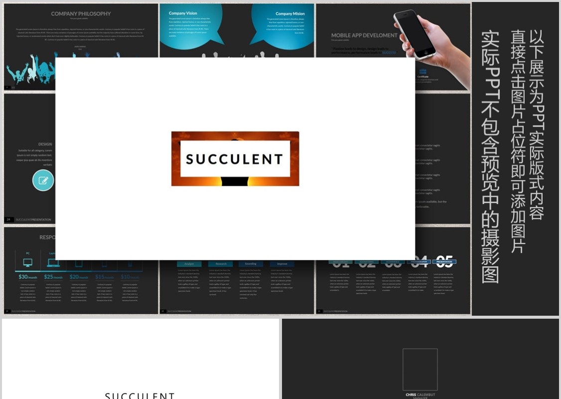 优质创意版式设计PPT工作模板SUCCULENT Powerpoint