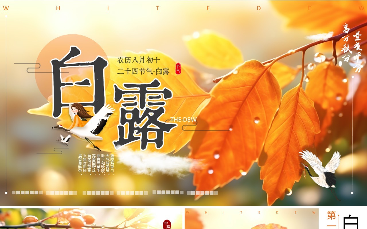 橙色插画风二十四节气之白露PPT模板