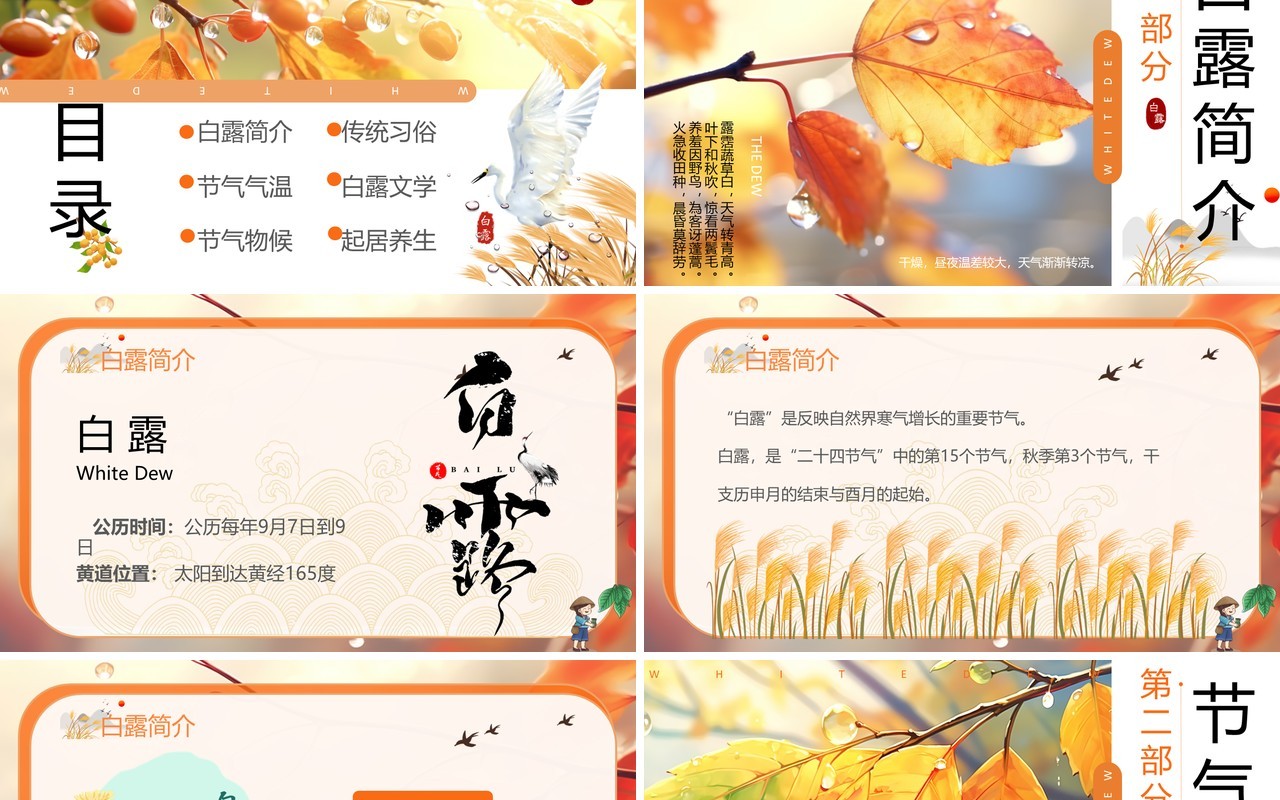 橙色插画风二十四节气之白露PPT模板