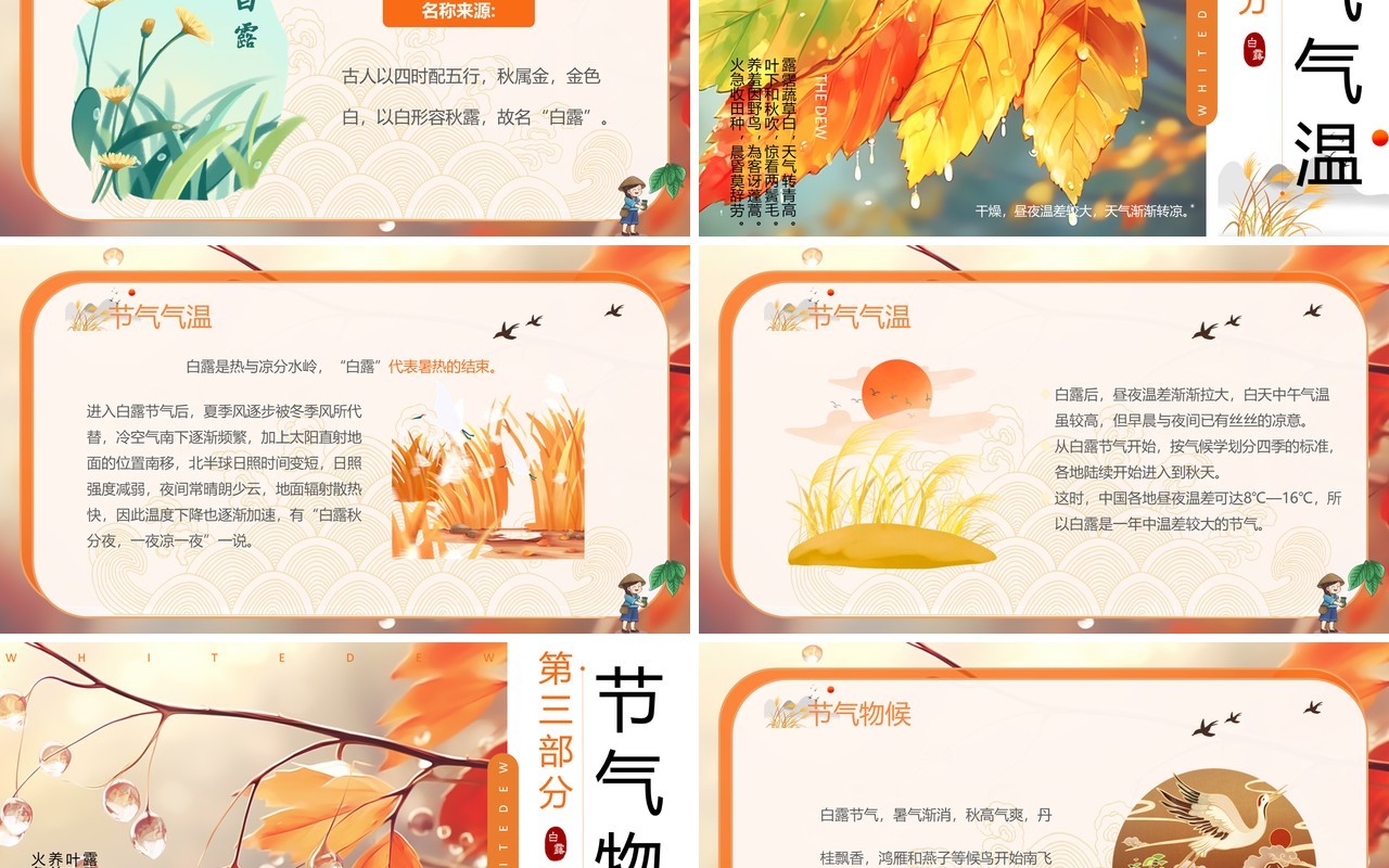 橙色插画风二十四节气之白露PPT模板