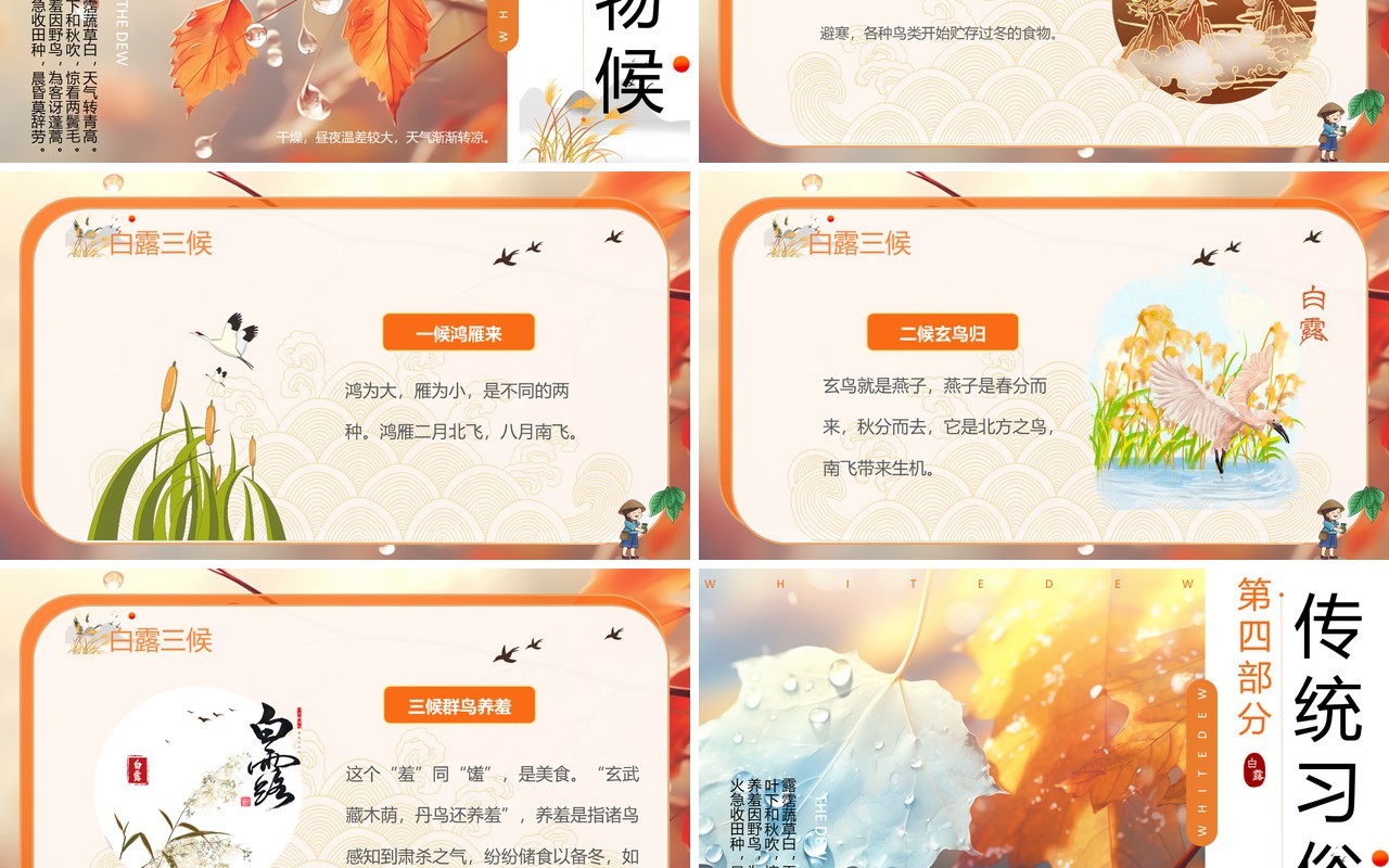 橙色插画风二十四节气之白露PPT模板