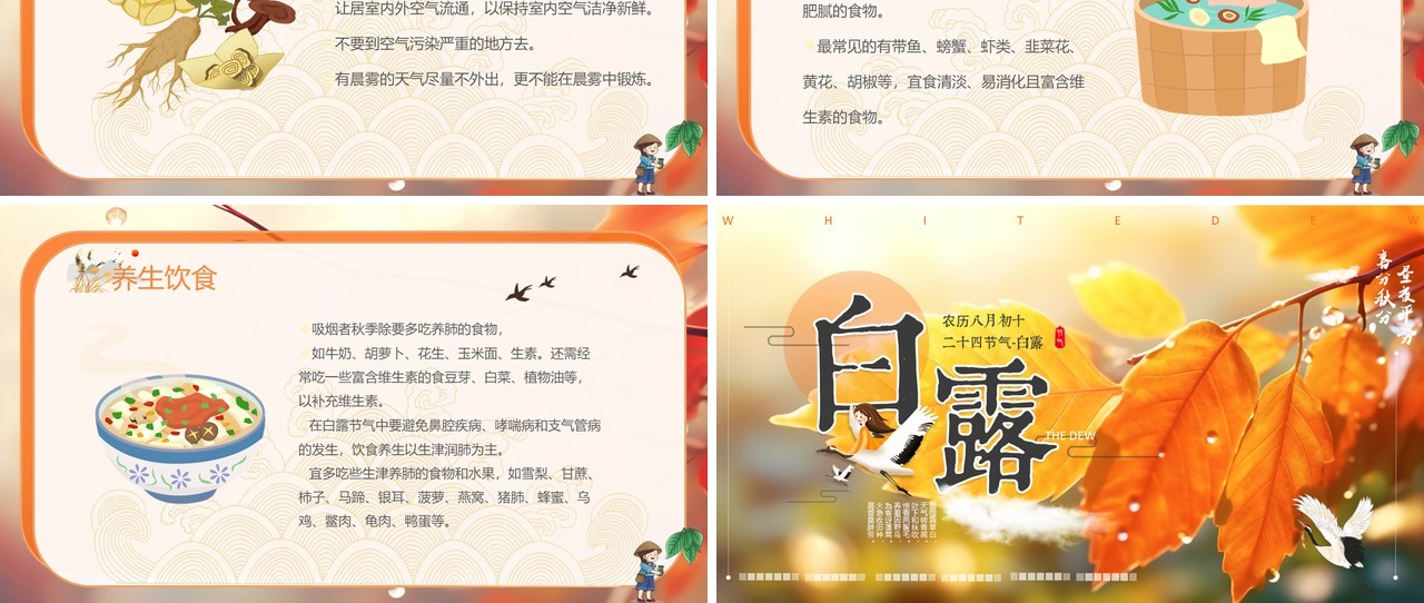 橙色插画风二十四节气之白露PPT模板
