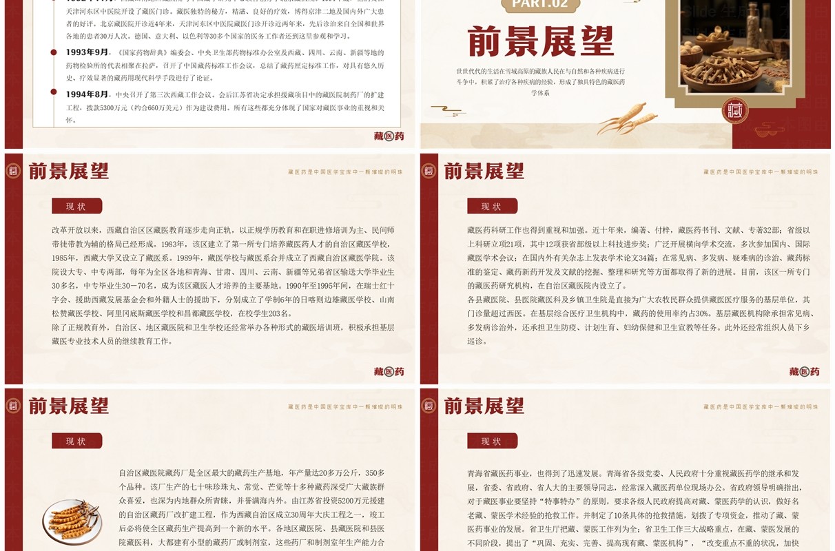 红色中国风非遗系列之藏医药介绍PPT模板