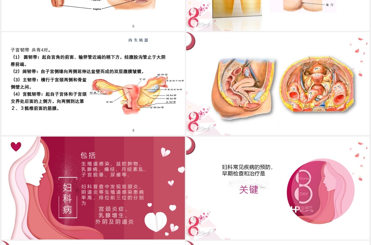 粉色简约女性妇科常见疾病预防和保健知识讲座PPT模板