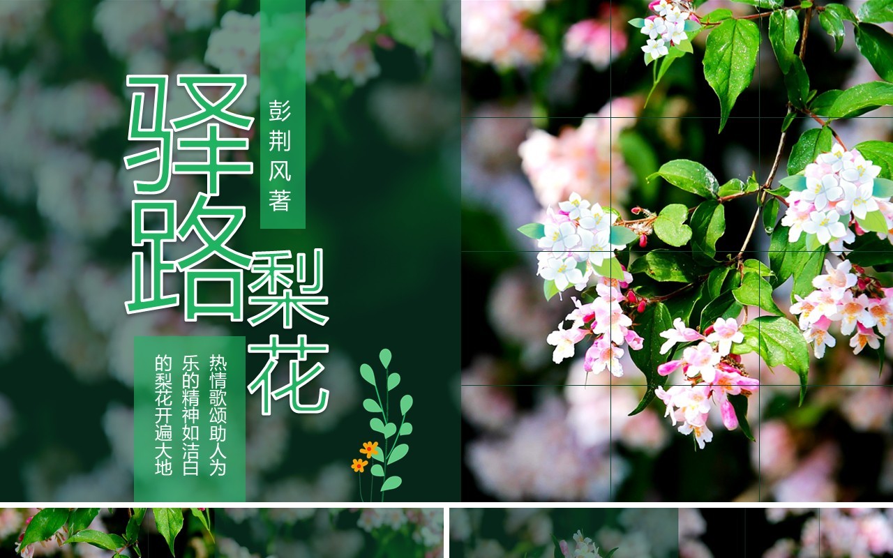 当代作家彭荆风小说驿路梨花动态课件PPT模板