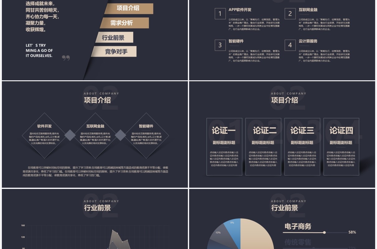 高端产品融资介绍商业计划书PPT模板