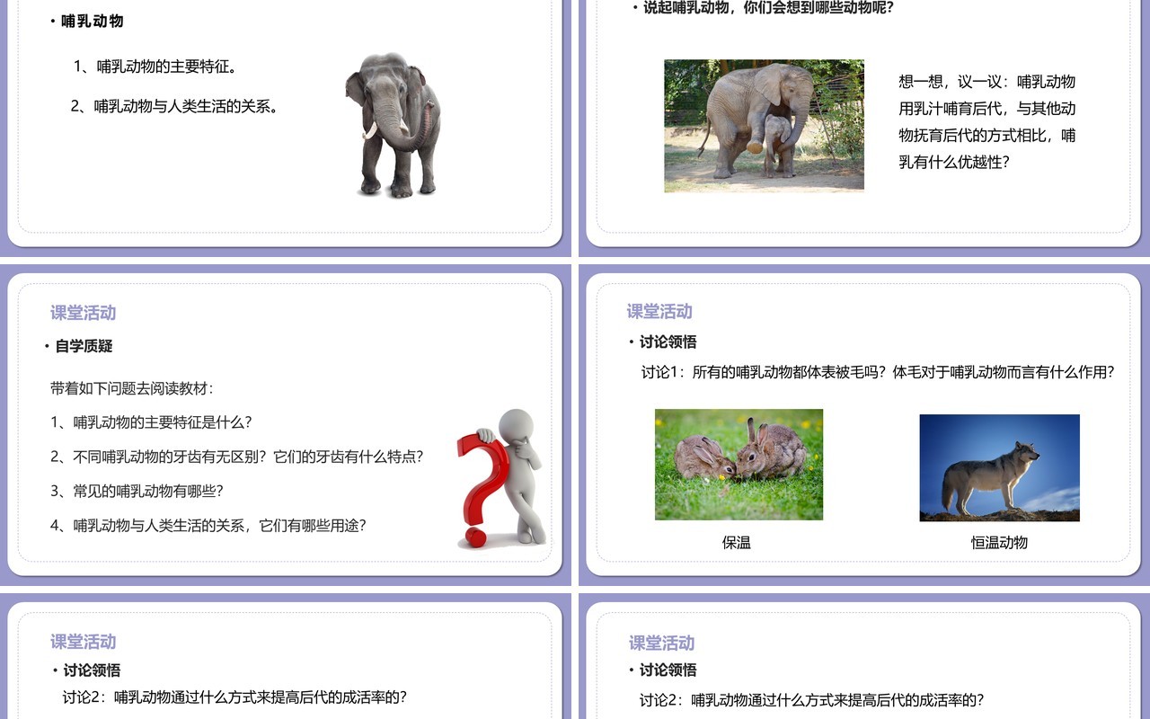 部编版八年级生物上册哺乳动物PPT模板