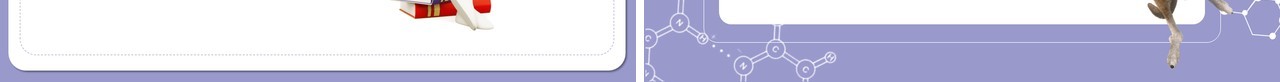 部编版八年级生物上册哺乳动物PPT模板