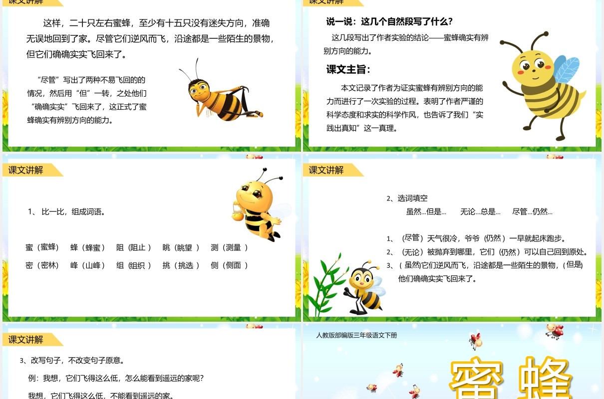 人教版三年级语文下册蜜蜂语文课件PPT模板