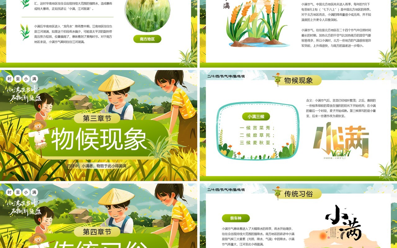绿色插画风二十四节气之小满介绍PPT模板