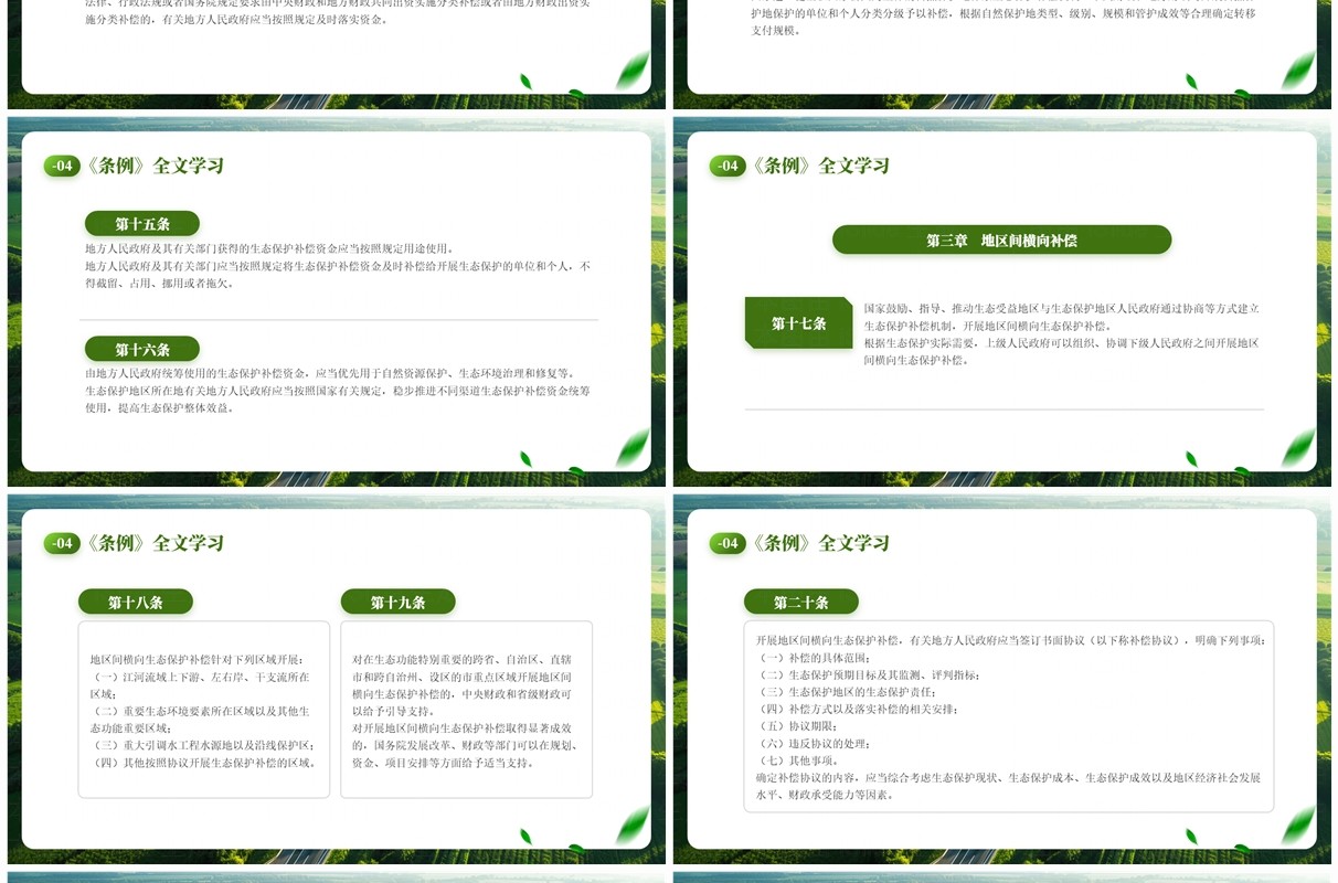 绿色简约风生态保护补偿条例PPT模板