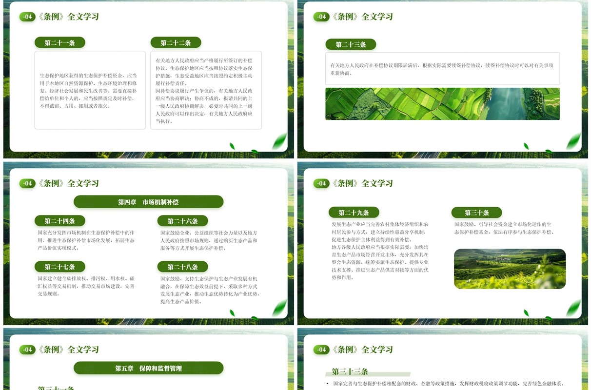 绿色简约风生态保护补偿条例PPT模板