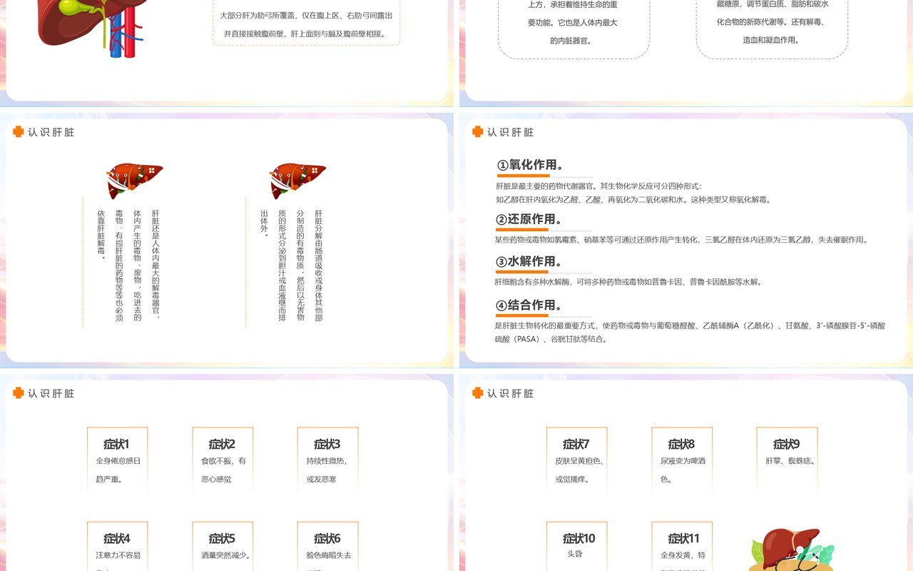 简约全国爱肝日介绍动态PPT模板
