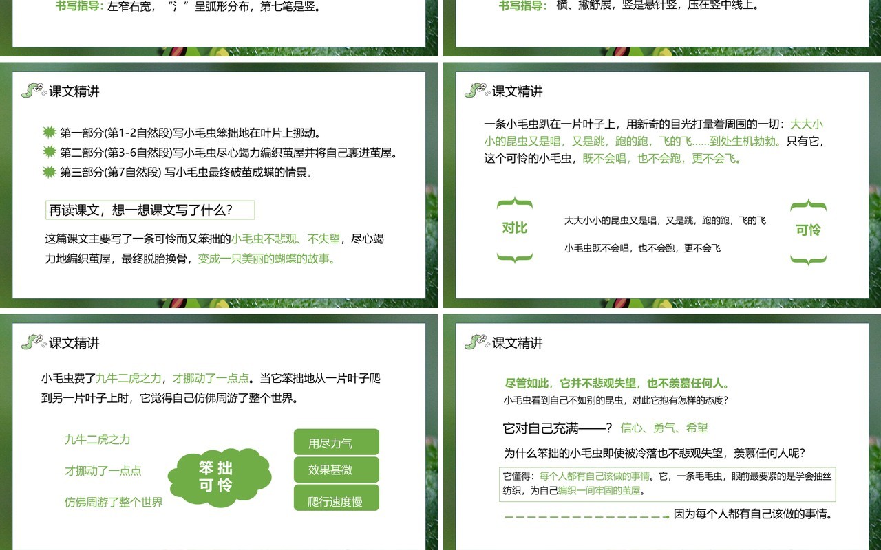 部编版二年级语文下册小毛虫课件PPT模板