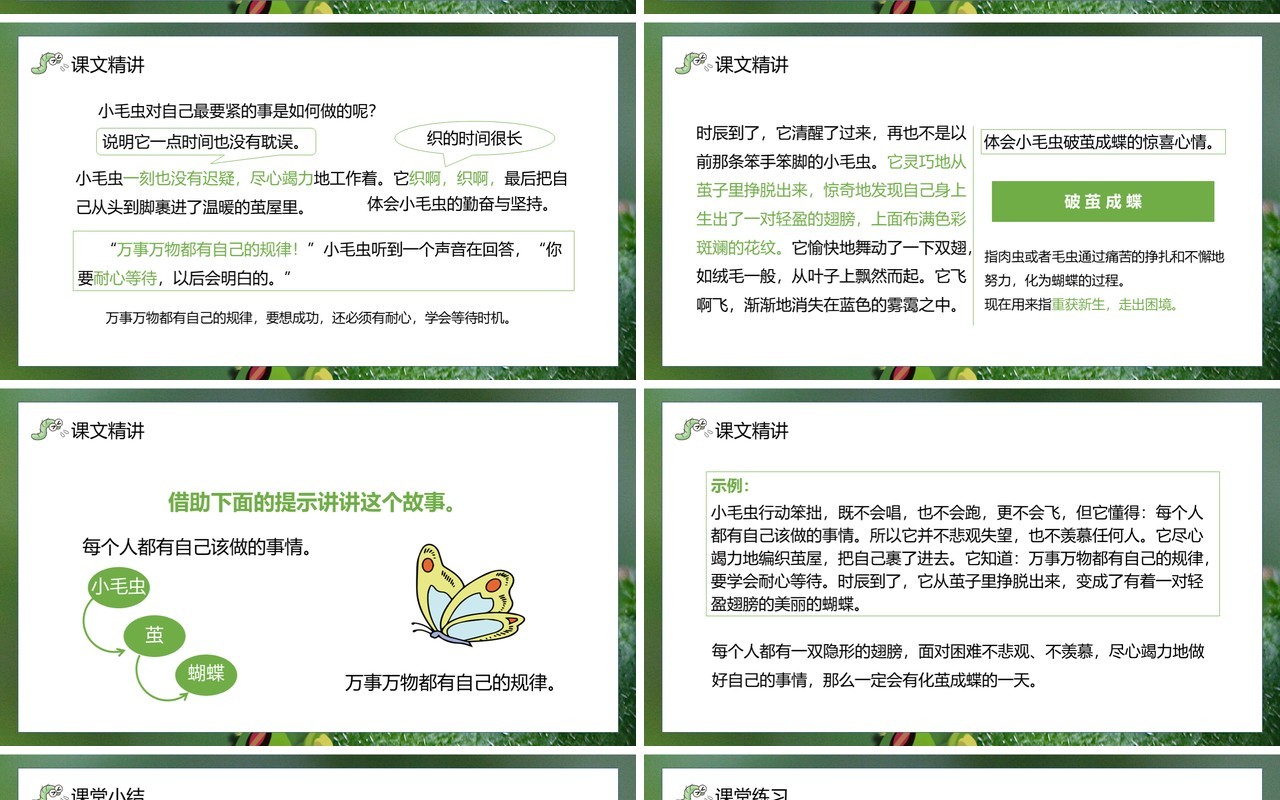 部编版二年级语文下册小毛虫课件PPT模板