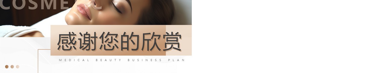 棕色简约风医美商业计划书PPT模板