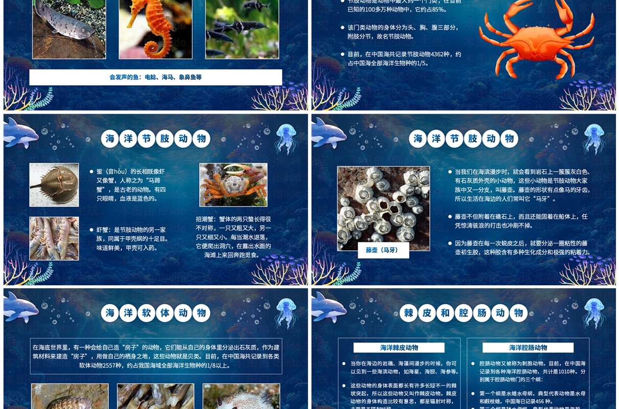 蓝色插画风世界海洋日介绍PPT模板(1)